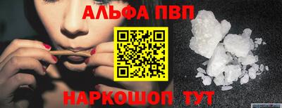 стафф Донской