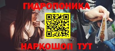 стафф Донской