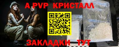 стафф Донской