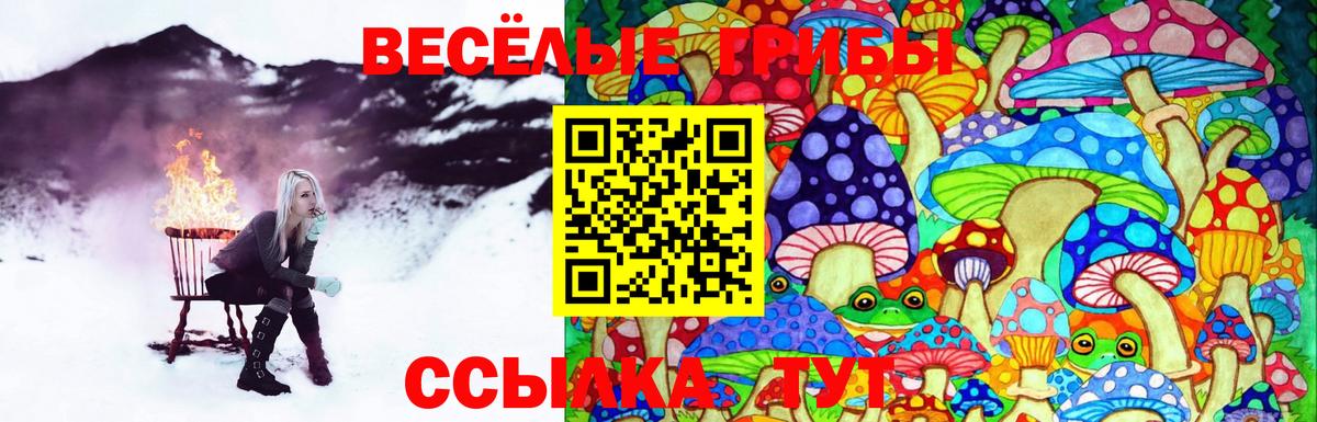Псилоцибиновые грибы Cubensis  Вход с VPN  Лосино-Петровский 